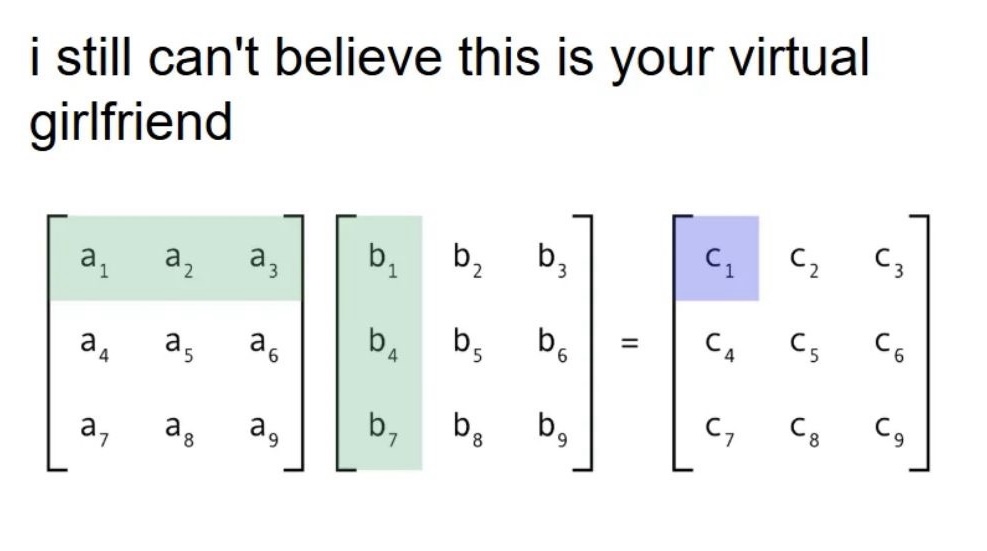 LLM meme showing matrix multiplication as a virtual girlfriend